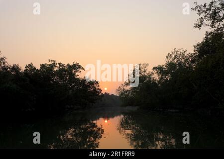 Coucher de soleil à sundarbans.cette photo a été prise du parc national de Sundarbans, Bangladesh. Banque D'Images