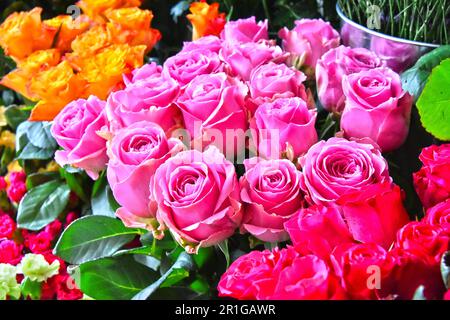 Roses dans le magasin de fleurs. Les fleurs coupées à l'étal de Banque D'Images