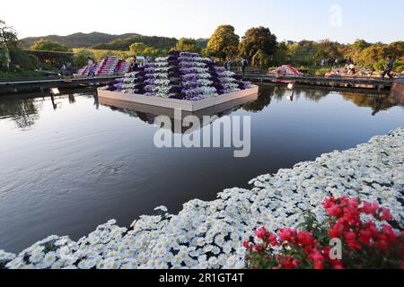 Le parc de fleurs d'ashikago, est l'un des plus grands parcs de fleurs de l'est du Japon, célèbre avec le jardinage de wisteria Banque D'Images