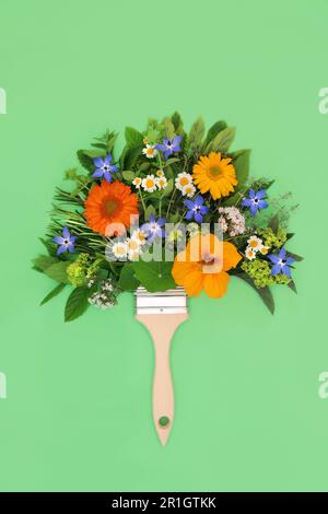 Forme de concept de feuille d'herbe, fleur et fleur sauvage d'été surréaliste. Herbes et fleurs utilisées en phytothérapie, assaisonnement alimentaire et décoration alimentaire. Banque D'Images