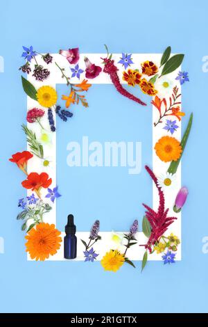 Flore naturelle pour l'aromathérapie huiles essentielles, remède de fleur alternatif et curatif médicinal fleurs et herbes avec bouteille de teinture. Banque D'Images