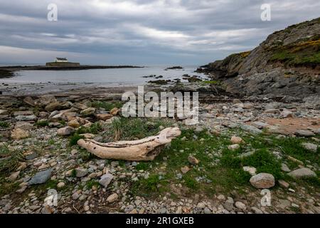 L'église de St Cwyfan (l'église en mer) sur la côte près d'AberffRAW sur Ynys mon, au nord du pays de Galles. Banque D'Images