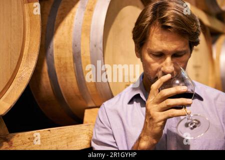 Vin, goût et homme dans la cave d'une distillerie sur une ferme pour la production ou la fermentation d'alcool. Verre, industrie et baril avec un mâle Banque D'Images