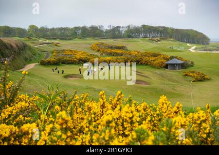 Vue sur le parcours de golf Kingsbarns Golf Links à Kingsbarns, Fife, Écosse, Royaume-Uni Banque D'Images