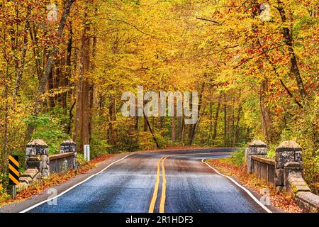 Routes d'automne dans la forêt nationale de Pisgah, Caroline du Nord, États-Unis. Banque D'Images