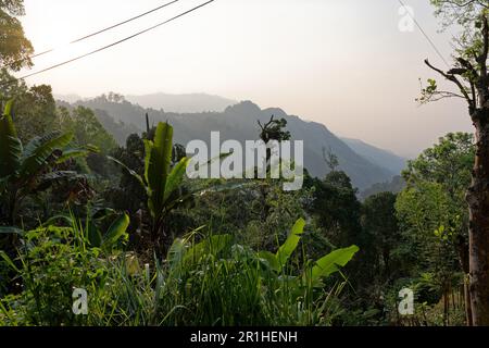 Vue sur la montagne forêt tropicale du Sri Lanka le matin Banque D'Images