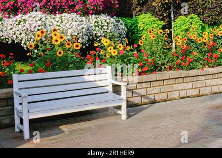 Banc en bois blanc à côté du chemin dans le jardin avec fleurs et arbres en arrière-plan. Banc dans le jardin public. Banque D'Images