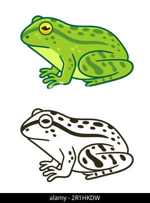 Dessin réaliste de grenouille verte et icône en noir et blanc. Illustration de clip art vectoriel de dessin animé. Illustration de Vecteur