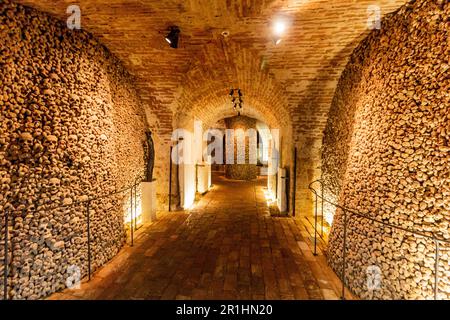 BRNO, TCHÉQUIE - 7 SEPTEMBRE 2021 : ossuaire souterrain sous l'église Saint-Laurent James à Brno, République tchèque Banque D'Images