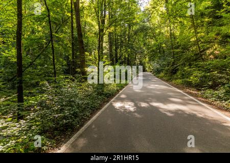 Route dans la vallée de Pusty zleb dans la région du Karst morave, République tchèque Banque D'Images