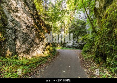 Route dans la vallée de Pusty zleb dans la région du Karst morave, République tchèque Banque D'Images