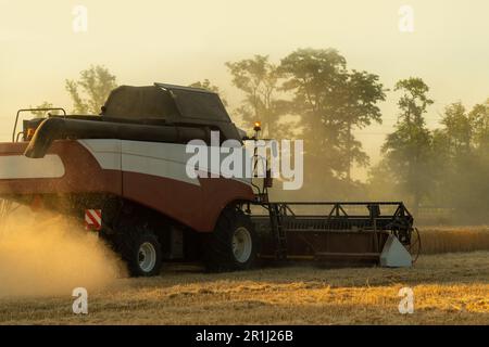 La moissonneuse-batteuse récolte du blé. Photo de haute qualité Banque D'Images