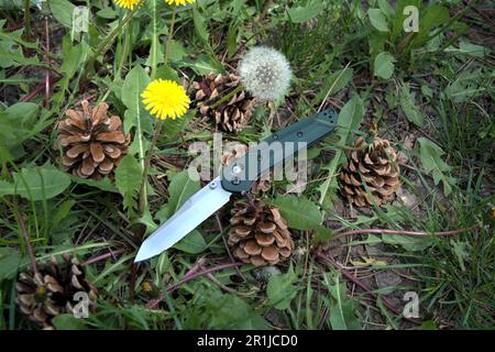 Couteau pliable argent découpe bord inoxydable poignée verte beaucoup d'herbe sec pin cône blanc jaune pissenlit macro fond Banque D'Images