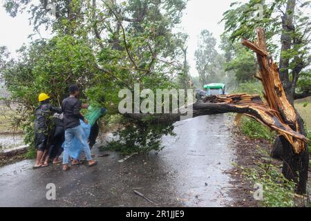 Dhaka, Bangladesh. 14th mai 2023. Une équipe de secours enlève les arbres tombés pour dégager une route à Teknaf, pendant la chute du Cyclone Mocha (Credit image: © Abu Sufian Jewel/ZUMA Press Wire) USAGE ÉDITORIAL SEULEMENT! Non destiné À un usage commercial ! Banque D'Images