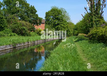 La rivière New à la fin du printemps à Winchmore Hill, dans le nord de Londres Banque D'Images