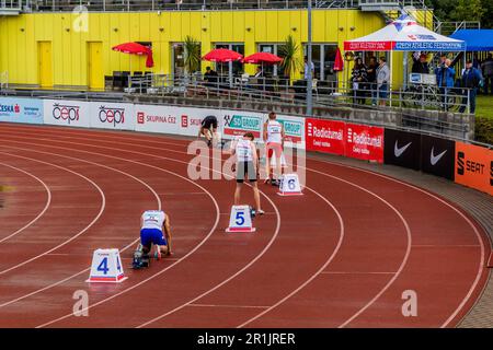 PLZEN, TCHÉQUIE - 28 AOÛT 2021: Haies aux Championnats d'athlétisme tchèques de moins de 22 ans au stade d'athlétisme de Plzen (Pilsen), Tchèque Banque D'Images