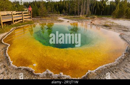 Gloire du matin couleur extérieure - célèbre Hot Spring dans le Parc National de Yellowstone, Wyoming, USA Banque D'Images