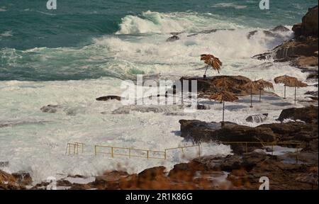 Côte de plage rocheuse en hiver. Fortes vagues de mer blanches, tempête, parasols fermés. Pour chaque parapluie il y a une plate-forme en béton. Banque D'Images