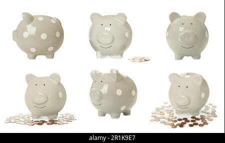 Sur fond blanc avec des bancs de pigey. Bannière Banque D'Images