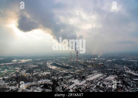 des chimys au travail Banque D'Images