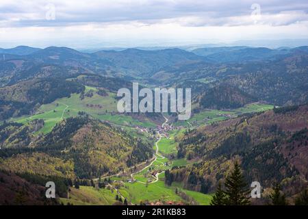 Vue imprenable sur le petit village de Böllen dans une vallée verdoyante du mont Belchen dans la Forêt Noire (Schwarzwald), Allemagne Banque D'Images