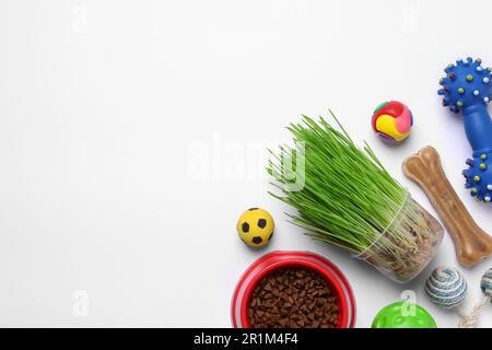 Composition de pose à plat avec jouets pour animaux et nourriture sur fond blanc, espace pour le texte Banque D'Images