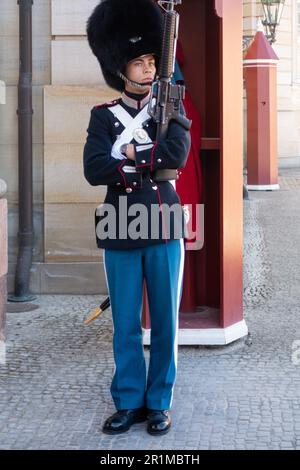 Garde royale danoise au château de Rosenborg à Copenhague, Danemark Banque D'Images