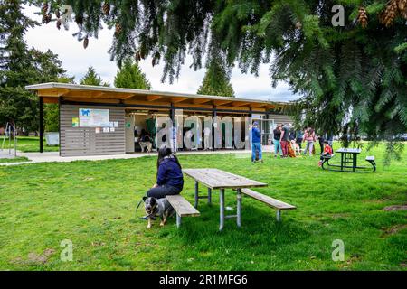 REDMOND, WA, États-Unis – 2 AVRIL 2023 : zone de lavage pour chiens de Marymoor Park, les gens et les chiens sont alignés et dans les étals de lavage pour chiens Banque D'Images