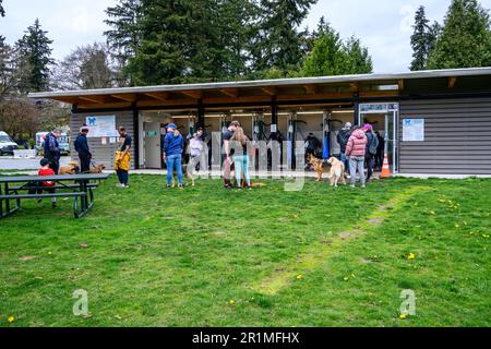 REDMOND, WA, États-Unis – 2 AVRIL 2023 : zone de lavage pour chiens de Marymoor Park, les gens et les chiens sont alignés et dans les étals de lavage pour chiens Banque D'Images