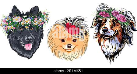 Ensemble de chiens de mode Vector en couronne de fleurs sauvages, chien de berger belge, Berger australien et race de Poméranie Illustration de Vecteur
