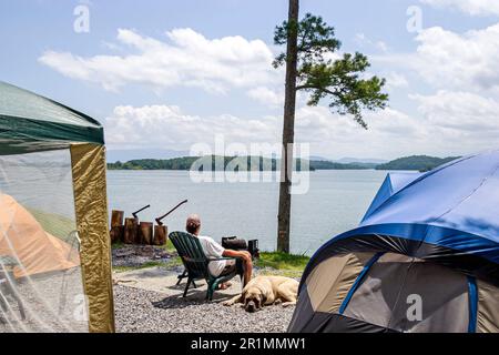 Sevierville Tennessee, TVA Lac Douglas, camping-car paysage aquatique nature tente naturelle, Banque D'Images