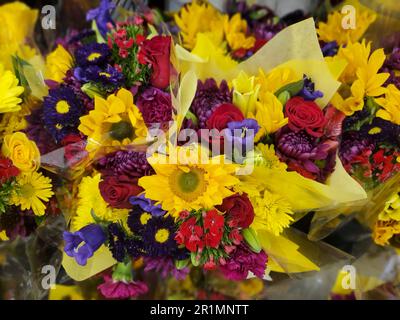 La variété de roses rouges, de chrysanthème pourpre et jaune sur un bouquet de fleurs Banque D'Images