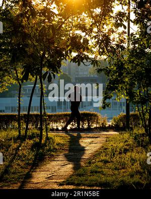 La femme qui fait du jogging dans les lumières du matin. Les gens ont besoin d'une zone verte où ils peuvent faire du sport. Les gens aiment courir entre les arbres. La course dans la zone verte. Banque D'Images