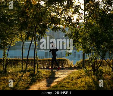 La femme qui fait du jogging dans les lumières du matin. Les gens ont besoin d'une zone verte où ils peuvent faire du sport. Les gens aiment courir entre les arbres. La course dans la zone verte. Banque D'Images