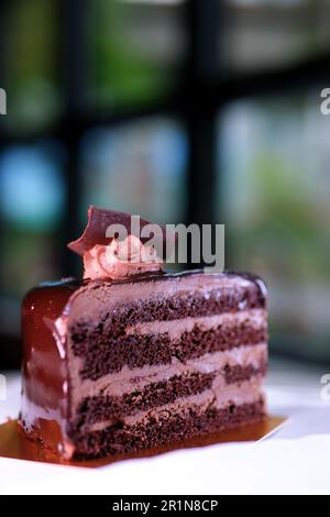 Morceau de gâteau au chocolat avec crème au chocolat sur une assiette blanche. Haute qualité 4K séquences calories joie chocolat noir gâteau de prague dessert Banque D'Images