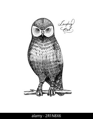 Hibou riant. Oiseau prédateur éteint. Illustration vectorielle gravée à la main en coupe de bois style graphique vintage Illustration de Vecteur