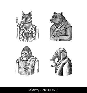 Grizzly Bear, Elephant Gentleman, Fox avec un tuyau de fumée, Monkey scientifique. Gentleman Fashion animal personnage en costume. Esquisse dessinée à la main. Illustration de Vecteur