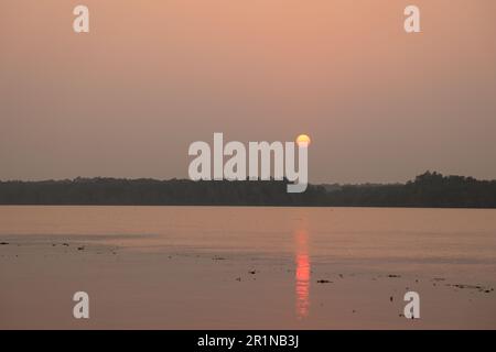 Cette photo a été prise dans le parc national de Sundarbans, au Bangladesh. Banque D'Images