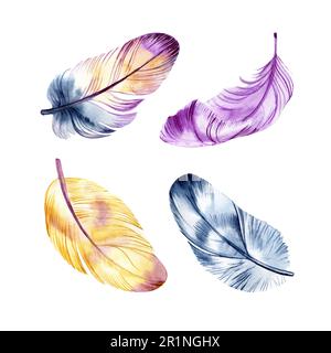 Ensemble de plumes vibrantes à motif aquarelles dessinées à la main. Ailes de style boho. illustration isolée sur blanc. Motif oiseau pour t-shirt, invitation Banque D'Images