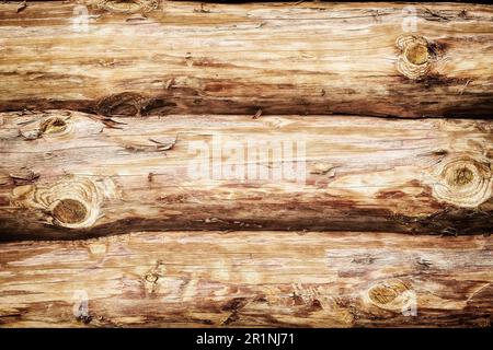 Grande texture de mur en bois de bûches fraîchement coupées de troncs d'arbre. Arrière-plans abstraits de la nature Banque D'Images