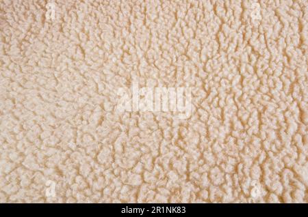 Couverture fourrure texture. Close-up de couverture de laine mérinos lumineux, peut être utilisé comme arrière-plan. Banque D'Images