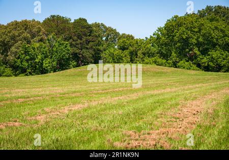 Site Emerald Mound/Selsertown au Mississippi Banque D'Images