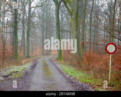 Forêt feuillue de Maulbronn en hiver, chemin forestier, panneau : fermé aux véhicules de toutes sortes Banque D'Images