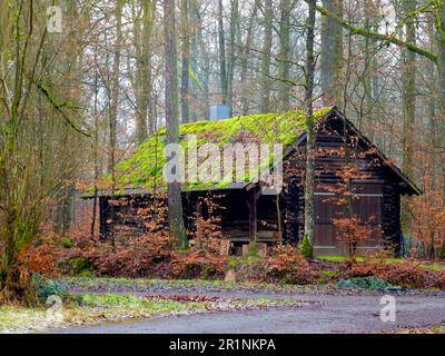 Forêt de feuillus de Maulbronn en hiver Banque D'Images
