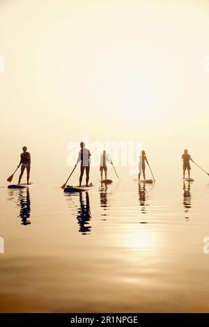 Un groupe de paddle-boardeurs de stand-up sur un matin brumeux au lever du soleil Banque D'Images