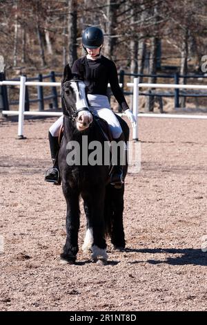 DRESSAGE, JEUNESSE, PONEY : dressage sur invitation des jeunes événement sur un poney dans les îles Åland, Finlande. Avril 2023. Banque D'Images