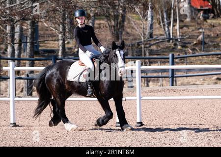 DRESSAGE, JEUNESSE, PONEY : dressage sur invitation des jeunes événement sur un poney dans les îles Åland, Finlande. Avril 2023. Banque D'Images