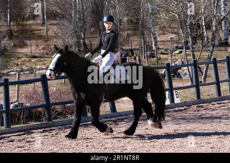 DRESSAGE, JEUNESSE, PONEY : dressage sur invitation des jeunes événement sur un poney dans les îles Åland, Finlande. Avril 2023. Banque D'Images