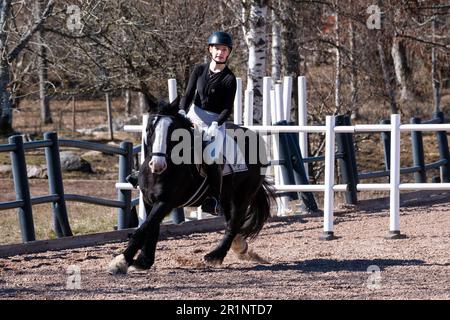 DRESSAGE, JEUNESSE, PONEY : dressage sur invitation des jeunes événement sur un poney dans les îles Åland, Finlande. Avril 2023. Banque D'Images