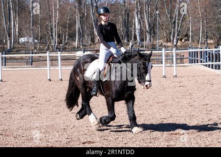 DRESSAGE, JEUNESSE, PONEY : dressage sur invitation des jeunes événement sur un poney dans les îles Åland, Finlande. Avril 2023. Banque D'Images